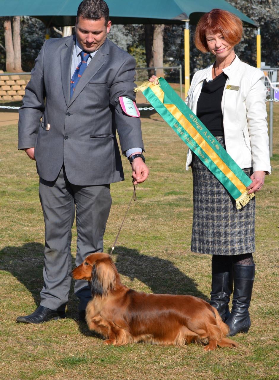 Liberty Dogs ACT Best In Show