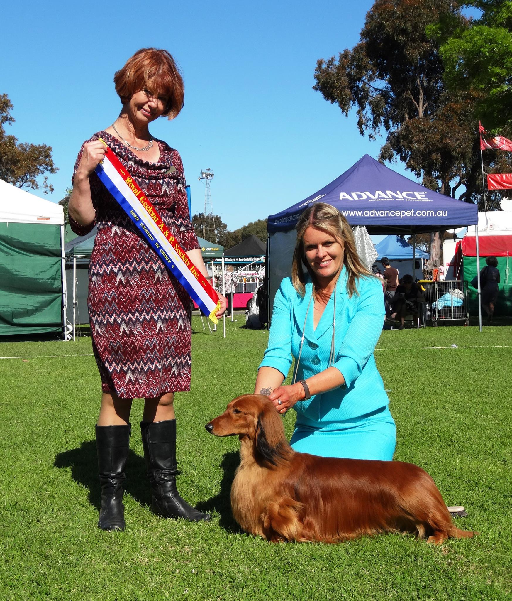 'Jimmy' Wins Best in Group at the Geelong Royal A & P Society Championship Show