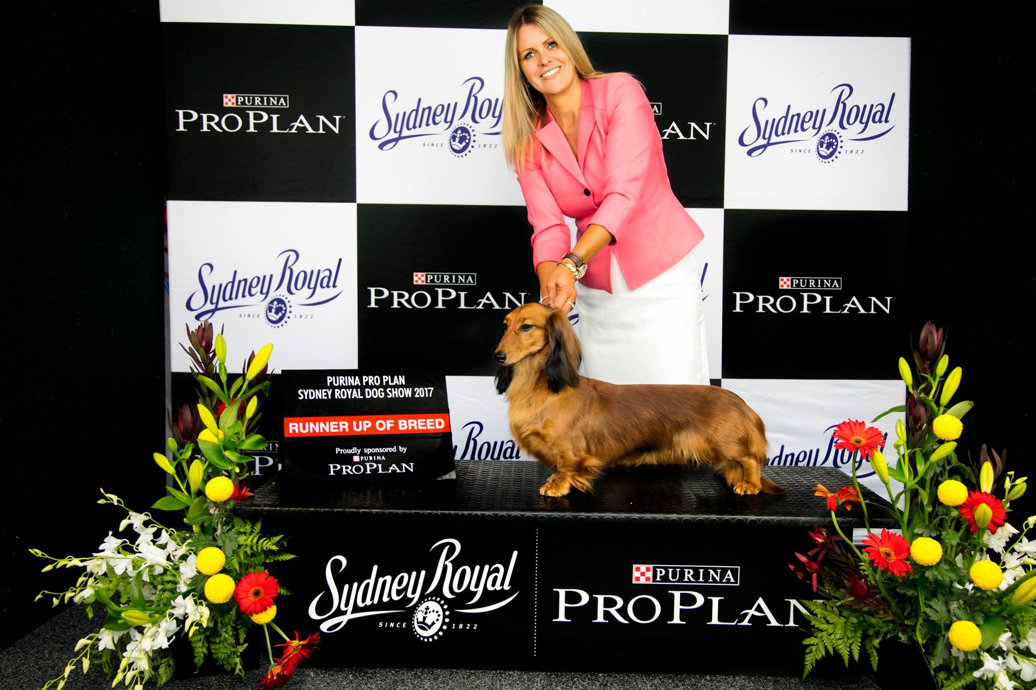 Angie Wins Bitch Challenge & Runner-Up Best of Breed at Sydney Royal Show.