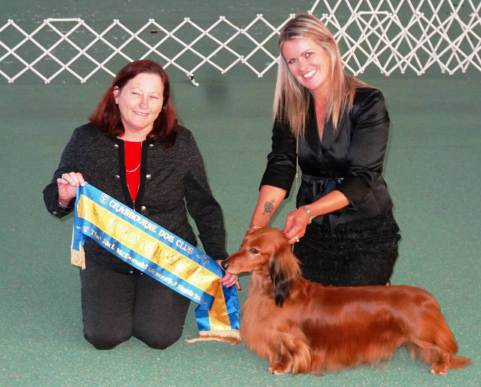 Jimmy wins Runner-Up Best in Show at Cranbourne Dog Club!