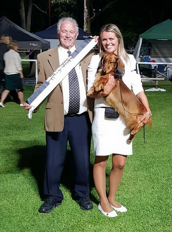 What a wonderful first day we had at the Maitland and Kurri District Kennel Club championship shows!