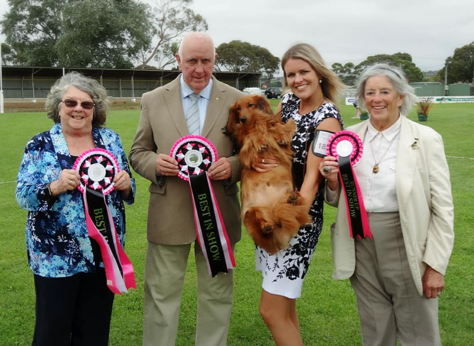 Jimmy's Fabulous Weekend at the Portland & District Kennel Club championship shows!